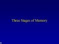 Three Stages of Memory PowerPoint PPT Presentation