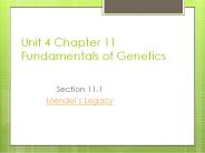 Unit 4 Chapter 11 Fundamentals of Genetics