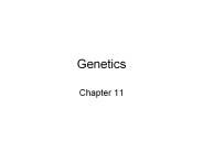 Genetics