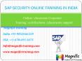sap security online training in canada PowerPoint PPT Presentation