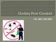 Godrej Pest Control Gurgaon-20% off
