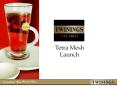 Tetra Mesh Launch PowerPoint PPT Presentation