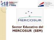 Sector Educativo del MERCOSUR (SEM)