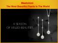 Mastoloni Cultured Pearl Jewelry PowerPoint PPT Presentation