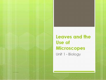 Leaves and the Use of Microscopes