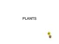 PLANTS PowerPoint PPT Presentation