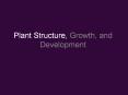 Plant Structure, Growth, and Development PowerPoint PPT Presentation