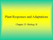 Plant%20Responses%20and%20Adaptations