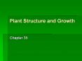 Plant Structure and Growth PowerPoint PPT Presentation