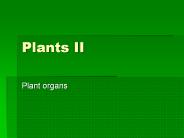 Plants II