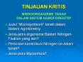 TINJAUAN KRITIS PowerPoint PPT Presentation