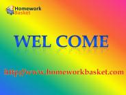 XBIS 219 Week 6 CheckPoint Systems Development Life Cycle (SDLC)