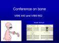 Conference on bone PowerPoint PPT Presentation