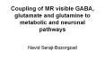 Coupling of MR visible GABA, glutamate and glutamine to metabolic and neuronal pathways PowerPoint PPT Presentation