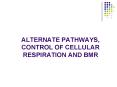 ALTERNATE PATHWAYS, CONTROL OF CELLULAR RESPIRATION AND BMR PowerPoint PPT Presentation