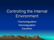 Controlling the Internal Environment