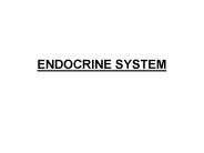 ENDOCRINE SYSTEM