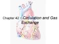 Chapter 42 ~ Circulation and Gas Exchange PowerPoint PPT Presentation