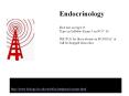 Endocrinology PowerPoint PPT Presentation