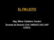 EL FIN LICITO