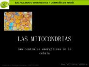 LAS MITOCONDRIAS