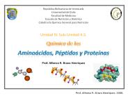 Diapositiva 1