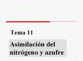 Tema 11 PowerPoint PPT Presentation