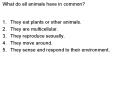 What do all animals have in common? PowerPoint PPT Presentation