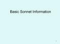 Basic Sonnet Information PowerPoint PPT Presentation