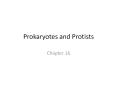 Prokaryotes and Protists PowerPoint PPT Presentation