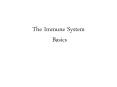 The Immune System Basics PowerPoint PPT Presentation