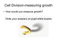 Cell Division-measuring growth PowerPoint PPT Presentation