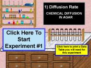 Diffusion Rate
