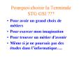 Pourquoi choisir la Terminale STG GSI PowerPoint PPT Presentation