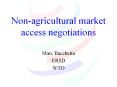 Non-agricultural market access negotiations PowerPoint PPT Presentation