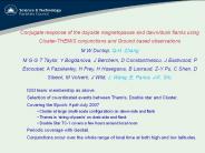 Io - Electrodynamic interactions