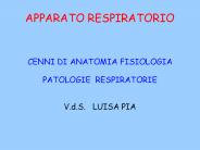 APPARATO RESPIRATORIO