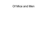 Of Mice and Men