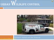 Pest Control Marietta Ga | Animal Removal