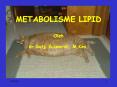 METABOLISME LIPID Oleh dr Sutji Kuswarini, M.Kes. PowerPoint PPT Presentation