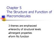Chapter 5 The Structure and Function of Macromolecules