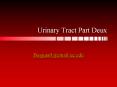 Urinary Tract Part Deux PowerPoint PPT Presentation
