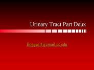 Urinary Tract Part Deux