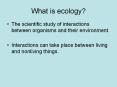 What is ecology? PowerPoint PPT Presentation