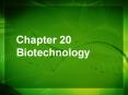 Chapter%2020%20Biotechnology PowerPoint PPT Presentation