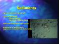 Sediments PowerPoint PPT Presentation