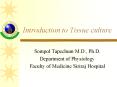 Introduction to Tissue culture PowerPoint PPT Presentation