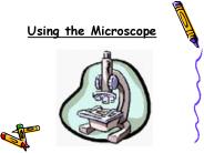Using the Microscope