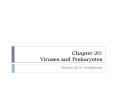 Chapter 20: Viruses and Prokaryotes PowerPoint PPT Presentation