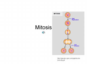 Mitosis